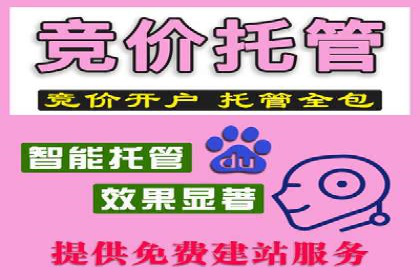 揭秘！百度竞价排名背后的成功故事